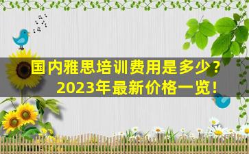 国内雅思培训费用是多少？ 2023年最新价格一览！